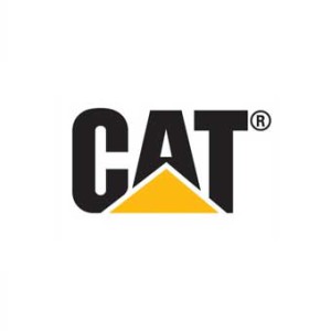 cat_logo